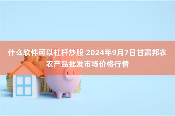 什么软件可以杠杆炒股 2024年9月7日甘肃邦农农产品批发市