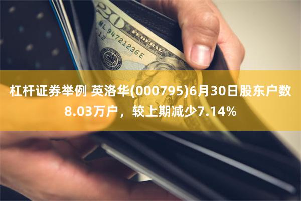 杠杆证券举例 英洛华(000795)6月30日股东户数8.0