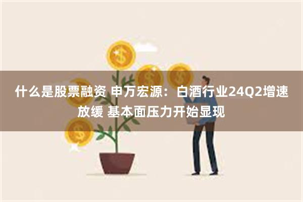 什么是股票融资 申万宏源：白酒行业24Q2增速放缓 基本面压