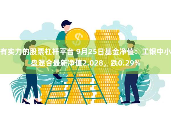 有实力的股票杠杆平台 9月25日基金净值：工银中小盘混合最新