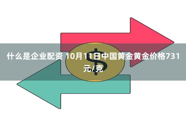 什么是企业配资 10月11日中国黄金黄金价格731元/克