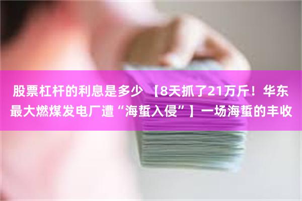 股票杠杆的利息是多少 【8天抓了21万斤！华东最大燃煤发电厂