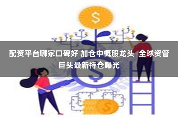 配资平台哪家口碑好 加仓中概股龙头  全球资管巨头最新持仓曝